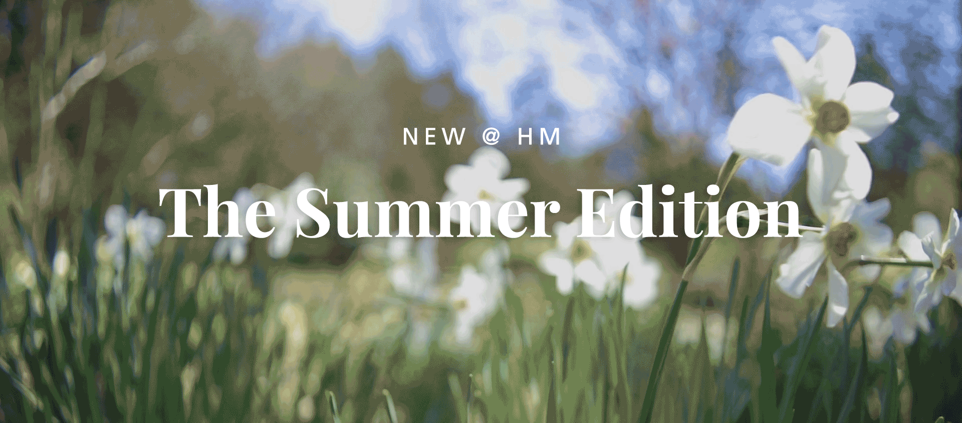 New at Hm: Summer Edition