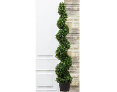 Allstate Floral 5 ft. Pond Boxwood Spiral Topiary