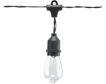 Alpine 10 Edison Shell String Lights with Timer small image number 1