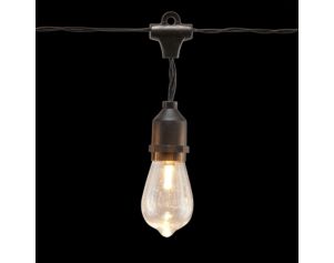 Alpine 10 Edison Shell String Lights with Timer
