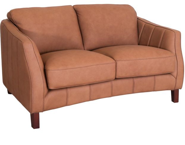 Amax Leather Sarah 100% Leather Loveseat large image number 2
