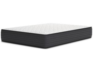 Accents Deville Limited Edition II Firm Twin Mattress in a Box