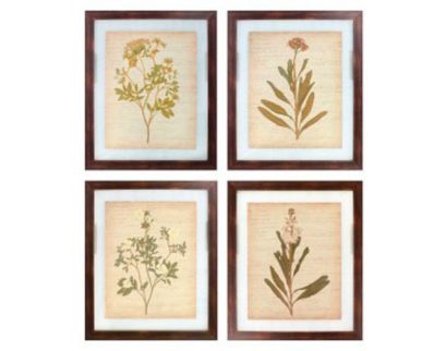 Ashley Dyani Wall Art (Set of 4)