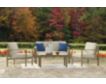 Ashley Fynnegan Outdoor Lounge Chairs (Set of 2) small image number 3