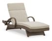 Ashley Beachcroft Outdoor Chaise Lounge small image number 1