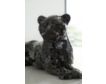 Ashley 24-Inch Black Drice Panther Sculpture small image number 5