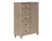 Bernards Furniture Citrus Heights Door Chest small image number 2