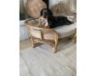 Creative Co-Op Rattan Dog Bed small image number 2