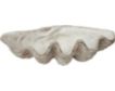 Creative Co-Op White Magnesia Oversize Seashell small image number 1