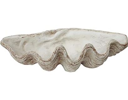 Creative Co-Op White Magnesia Oversize Seashell