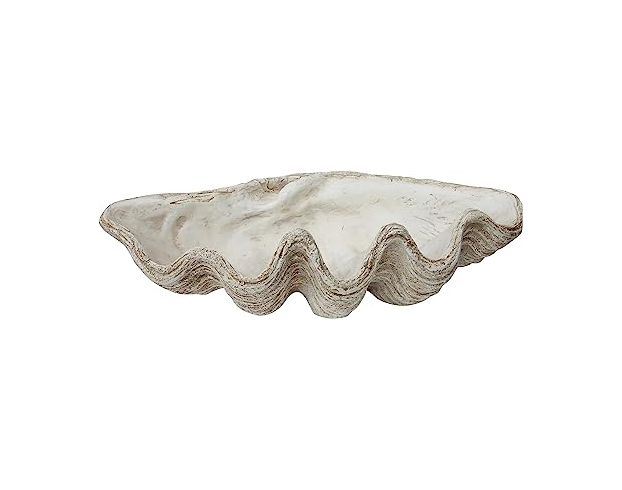 Creative Co-Op White Magnesia Oversize Seashell large image number 1