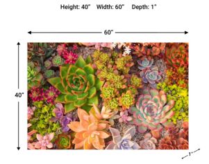 Classy Art 60 x 40 Succulent Dreams Wall Art