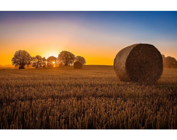 Classy Art 60 x 40 Hay Bale Tempered Glass Wall Art large image number 1