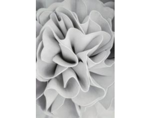 Classy Art 56 x 84 White Flower Canvas Wall Art