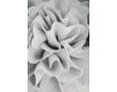 Classy Art 56 x 84 White Flower Canvas Wall Art small image number 1