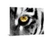 Classy Art Eye of the Tiger Wall Art 40 X 60 small image number 1