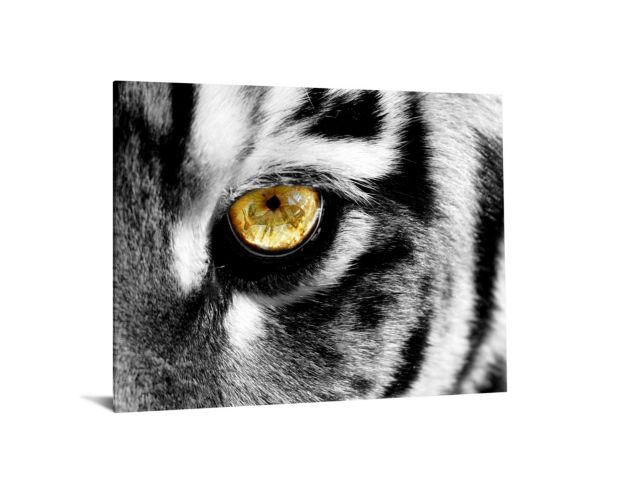 Classy Art Eye of the Tiger Wall Art 40 X 60 large image number 1