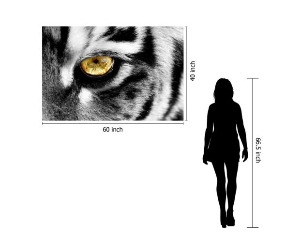 Classy Art Eye of the Tiger Wall Art 40 X 60 large image number 2