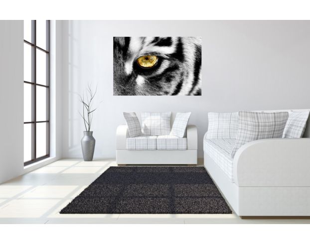Classy Art Eye of the Tiger Wall Art 40 X 60 large image number 3