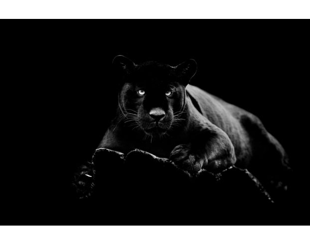 Classy Art Black Panther Glass Art 40 X 60 large image number 1