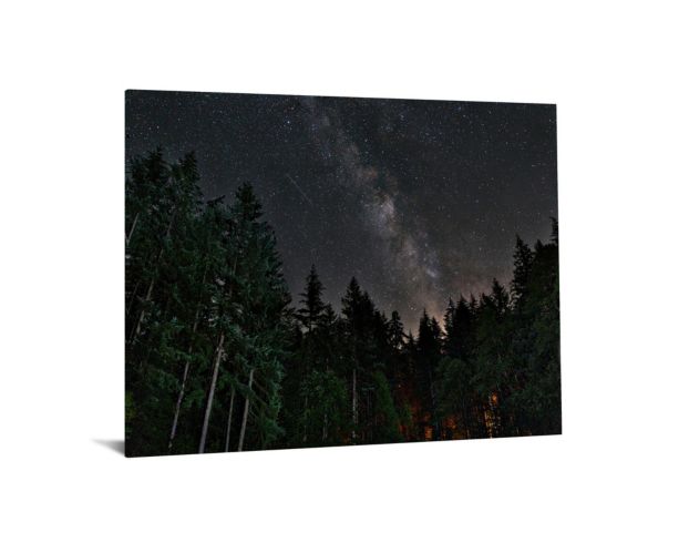 Classy Art Starry Forest Glass Art 40 X 60 large image number 1