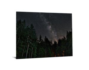 Classy Art Starry Forest Glass Art 40 X 60