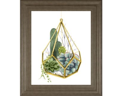 Classy Art Wild Terrarium IV 22 X 26