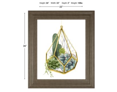 Classy Art Wild Terrarium IV 22 X 26