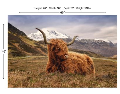 Classy Art Highland Cow Glass Art 40 x 60