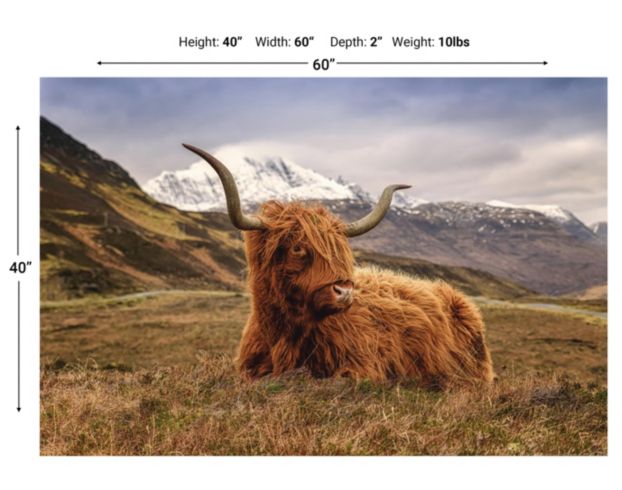 Classy Art Highland Cow Glass Art 40 x 60 large image number 2