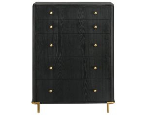 Coaster Arini Black Chest