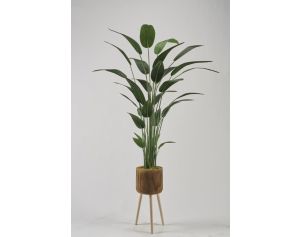 D & W Silks, Inc 7-Foot Faux Traveler Palm in Wood Planter