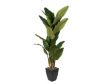 D & W Silks, Inc 8-FT Banana Tree in Black Metal small image number 1