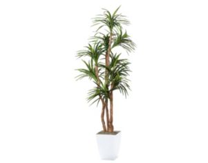 D & W Silks, Inc 8-Foot Dracaena Tree