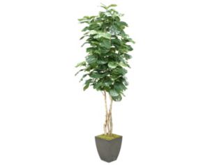 D & W Silks, Inc 8-Foot Fiddle Leaf Fig Tree