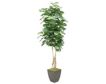 D & W Silks, Inc 8-Foot Fiddle Leaf Fig Tree small image number 1