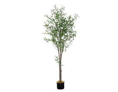 D & W Silks, Inc 72-Inch Artificial Olive Tree