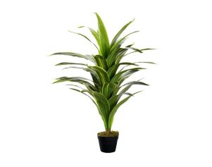 D & W Silks, Inc 48-Inch Dracaena Plant