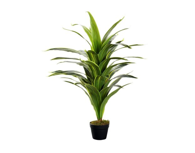 D & W Silks, Inc 48-Inch Dracaena Plant large image number 1