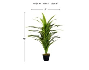 D & W Silks, Inc 48-Inch Dracaena Plant