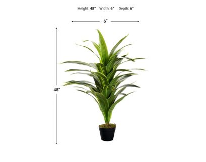 D & W Silks, Inc 48-Inch Dracaena Plant