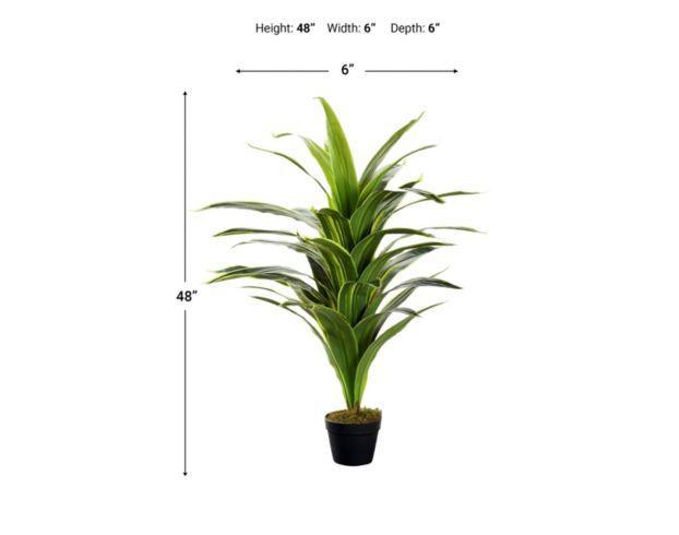 D & W Silks, Inc 48-Inch Dracaena Plant large image number 2