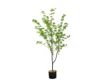 D & W Silks, Inc 60-Inch Douban Artificial Tree small image number 1