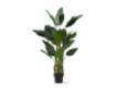 D & W Silks, Inc 63-Inch Bird of Paradise Artificial Tree small image number 1