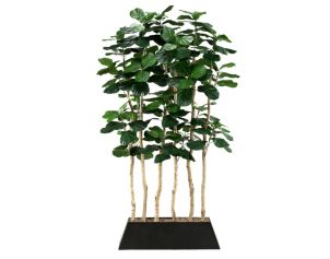 D & W Silks, Inc 7-Foot Fiddle Leaf Fig Screen in Rectangle Planter