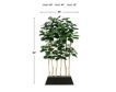 D & W Silks, Inc 7-Foot Fiddle Leaf Fig Screen in Rectangle Planter small image number 2