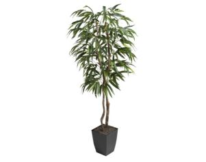 D & W Silks, Inc 6-Foot Artificial Weeping Ficus Tree