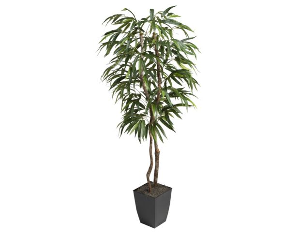 D & W Silks, Inc 6-Foot Artificial Weeping Ficus Tree large image number 1