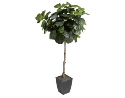 D & W Silks, Inc 6-Foot Artificial Fiddle Leaf Fig with Square Planter