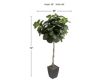 D & W Silks, Inc 6-Foot Artificial Fiddle Leaf Fig with Square Planter small image number 2